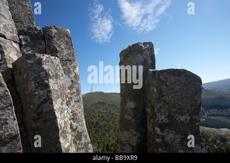 L'organo a canne basalto vulcanico colonne di roccia Mt Cargill Dunedin Otago Isola del Sud della Nuova Zelanda Foto Stock