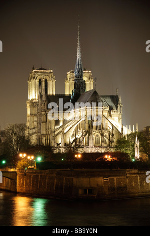 PARIGI, Francia: L'iconica cattedrale di Notre Dame, situata sull'Île de la Cité nel cuore di Parigi. Conosciuta per la sua architettura gotica francese, la cattedrale presenta splendide vetrate colorate, contrafforti volanti e intricate incisioni in pietra. I visitatori ne ammirano il significato storico e la bellezza architettonica. Foto Stock