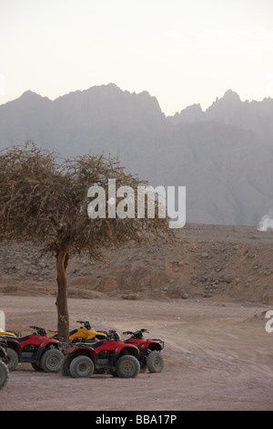 Quadbikes nel deserto del Sinai Foto Stock