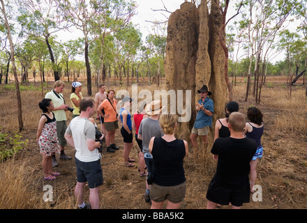 Gruppo turistico in una cattedrale termite mound nel Parco Nazionale Kakadu, Territorio del Nord, l'AUSTRALIA Foto Stock