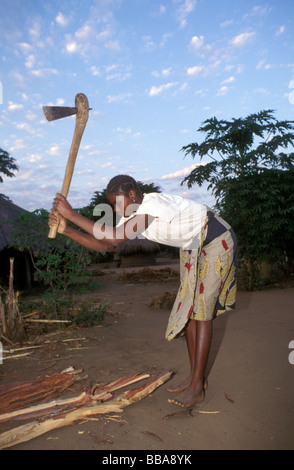 Kunda village scena sth luangwa gioco area gestione Zambia Foto Stock