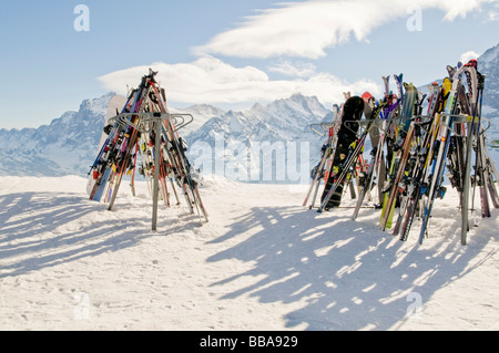 Sci e snowboard e nel retro del Bernese, Grindelwald, Canton Berna, Svizzera, Europa Foto Stock