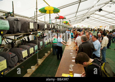 Cambridge - festa della birra Foto Stock