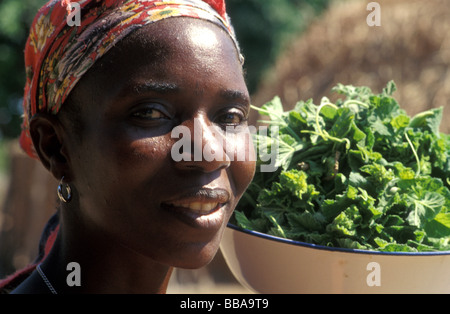Kunda village scena sth luangwa gioco area gestione Zambia Foto Stock