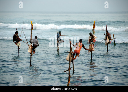Stilt i pescatori, i pescatori su palafitte la pesca nelle acque poco profonde, Oceano Indiano, Ceylon, Sri Lanka, Sud Asia, Asia Foto Stock