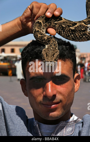 Il serpente incantatore con viper souk marrakech marocco Foto Stock