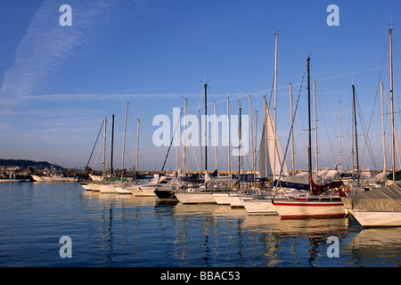 Italia, Marche, San Benedetto del Tronto, porto Foto Stock