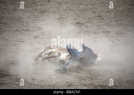 Cowboy affrontare un vitello nell'anello di rodeo Foto Stock