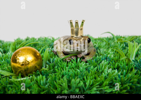 Il principe rana e oro sfera, studio shot Foto Stock