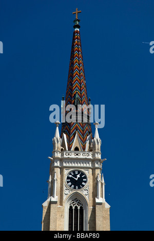 Novi Sad la cattedrale del giorno Foto Stock