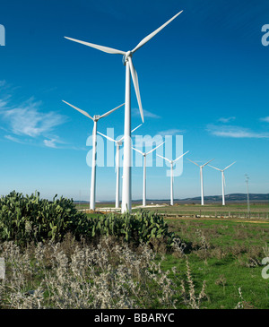 Campo delle turbine eoliche Foto Stock