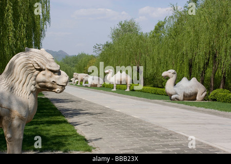Via Sacra Museo della Tomba Ming a Pechino, Cina Foto Stock