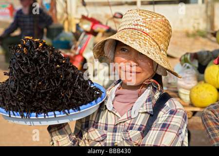 Donna vendita di fritte Tarantulas al mercato Skuom sulla strada tra Phnom Penh e Siem Reap Foto Stock