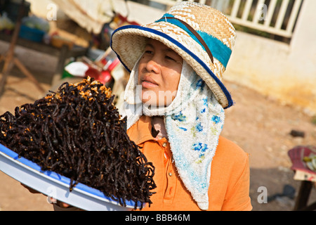 Donna vendita di fritte Tarantulas al mercato Skuom sulla strada tra Phnom Penh e Siem Reap Foto Stock