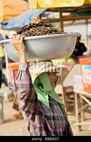 Donna vendita di fritte Tarantulas al mercato Skuom sulla strada tra Phnom Penh e Siem Reap Foto Stock