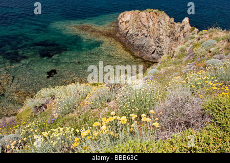 Vista panoramica della costa Egea con molla fiori selvatici Foca Turchia Foto Stock