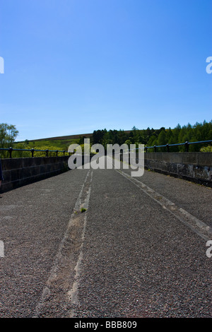 Lambley Viaduct vicino Coanwood nel sud del fiume Tyne Valley, Tynedale, Northumberland Foto Stock
