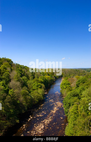 Lambley Viaduct vicino Coanwood nel sud del fiume Tyne Valley, Tynedale, Northumberland Foto Stock
