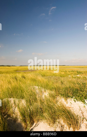 Spiaggia di marsh in Carolina del Sud Foto Stock