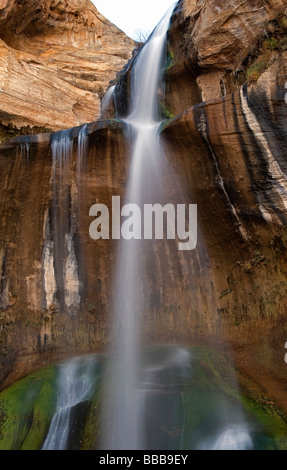 Abbassare Calf Creek Falls Calf Creek Recreation Area USA Utah Foto Stock