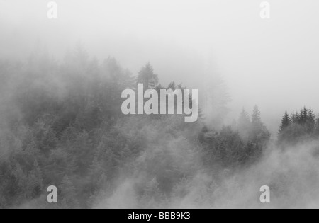 La nebbia nelle colline sopra il villaggio di Strathyre Foto Stock