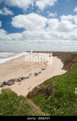 Regno Unito Inghilterra Norfolk Happisburgh in mancanza di erosione costiera difese rapidamente erodendo clifftop Foto Stock