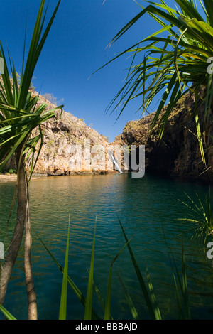 Piscina di acqua dolce a Maguk (Barramundi Gorge) - un popolare nuoto foro nel Parco Nazionale Kakadu, Territorio del Nord, l'AUSTRALIA Foto Stock