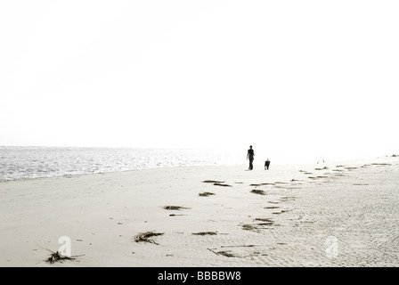 Persona cane a camminare sulla spiaggia Foto Stock