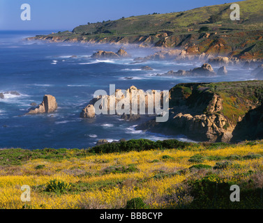 Vista della costa rocciosa di linea e di navigare a Garrapata State Park a Big Sur in California Foto Stock