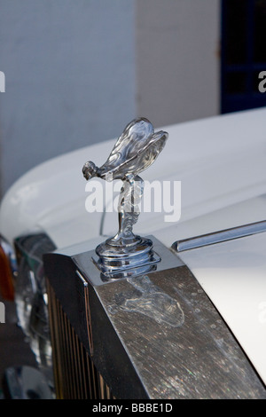 Rolls Royce spirito di ecstasy Foto Stock