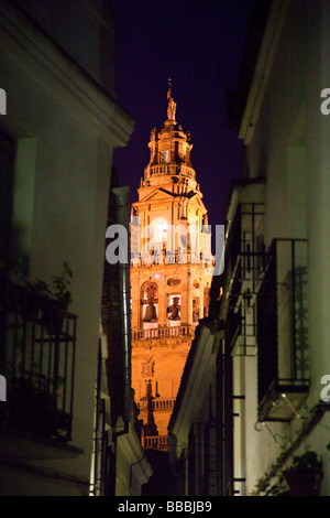 Calleja de las Flores e la cattedrale di Cordoba Spagna Foto Stock