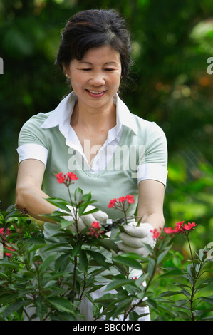 Una donna la potatura di fiori nel giardino Foto Stock