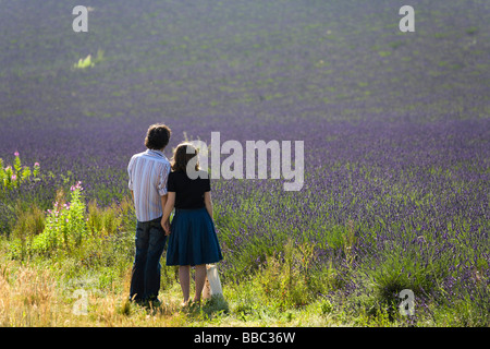 Una giovane coppia a piedi nei campi di lavanda in fiore a Snowshill lavanda, il Costwolds, Gloucestershire, Regno Unito Foto Stock