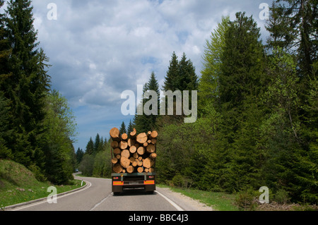 Un camion che trasportava pila di tronchi di alberi tagliati in un'autostrada nella Repubblica Srpska, l'entità della Bosnia ed Erzegovina Foto Stock