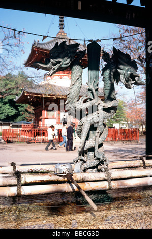24 nov 2004 - Omizuya (bacino idrico per compiere l'abluzione rituale) al tempio Kita-In nella città giapponese di Kawagoe. Foto Stock