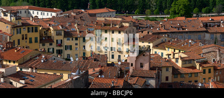 Close up di tetti di Piazza Anfiteatro, Lucca, Toscana, Italia Foto Stock