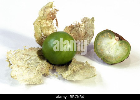 Tomatillo (Physalis philadelphica), frutta con e senza buccia, studio immagine Foto Stock