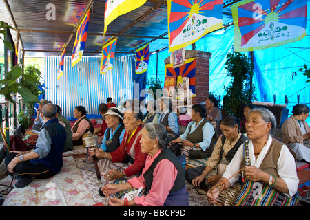 Rifugiati tibetani in sciopero della fame per il Tibet diritti. Mcleod Ganj. Dharamsala. Himachal Pradesh. India Foto Stock