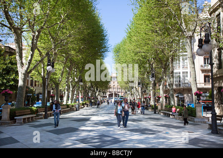 Persone che camminano verso il viale di Passeig des nato Palma Mallorca Spagna Spain Foto Stock