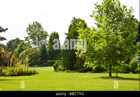 Vista verso la ninfea Canal e statua di Miranda a Giardini Waterperry Oxfordshire England Regno Unito Foto Stock