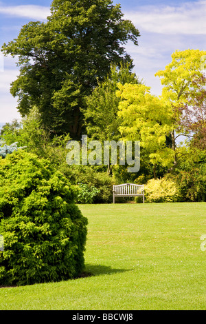 Alberi grandi arbusti e cespugli intorno a un prato di giardino Waterperry Oxfordshire Inghilterra UK Gran Bretagna Foto Stock