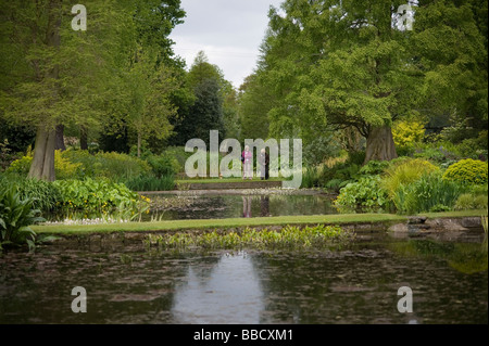 Il Beth Chatto Gardens Elmstead mercato vicino a Colchester Essex 2009 Foto Stock