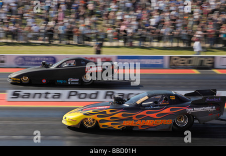 Top metanolo funny auto drag race a Santa Pod raceway Inghilterra Bedfordshire Regno Unito Foto Stock