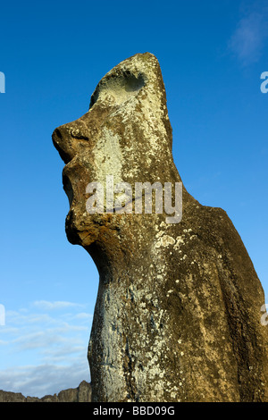 Un Moai statua sull'Isola di Pasqua Foto Stock