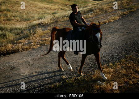 Un uomo beduino cavalca il suo cavallo, El Araqeeb, Israele Foto Stock