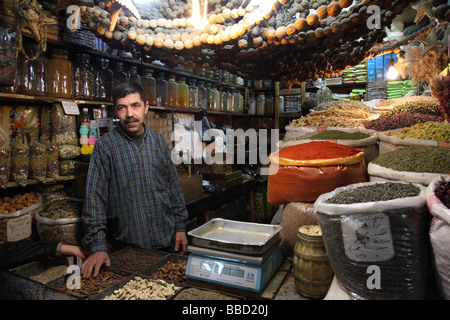 Aleppo Siria Syrian Medio Oriente vecchia città antica cittadella Asia Aleppian Governatorato di religione sunnita islam musulmani arabi arabi Foto Stock