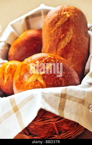 Piccoli e grandi pani rotondi di lievito madre di pasta acida pane nel cestino Foto Stock