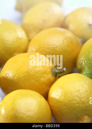 Limone Foto Stock
