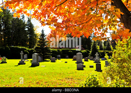 Cimitero luminoso prato con antica lapide attraversa Foto Stock