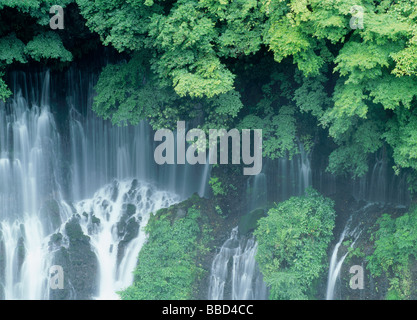 Cascata Foto Stock